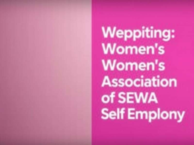 SEWA members at national convention